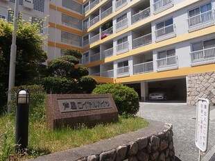 芦屋ロイヤルハイツ(309)の物件外観写真